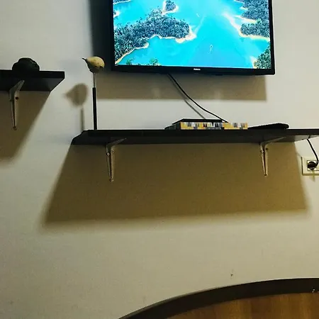 Daire Proper House Iva